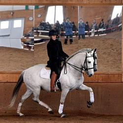 Mussennist Dressage, Mossley, ON opening hours