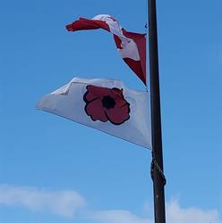 Royal Canadian Legion, Antigonish, opening hours