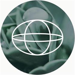 New Earth Wellness, Tecumseh, ON opening hours