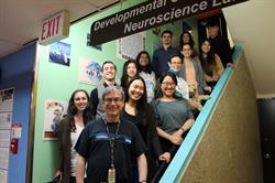 Developmental Cognitive Neuroscience Lab - UBC, Vancouver, BC opening hours