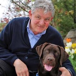 Bill Mohan- - Real Estate Sales Representative, Toronto, ON opening hours