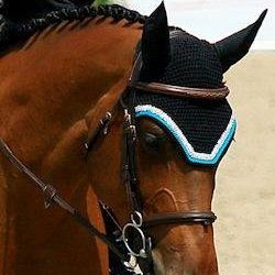Equine Web Design, Notre-Dame, NB opening hours