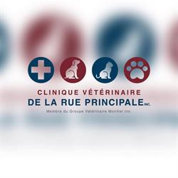 Clinique Vétérinaire de la Rue Principale, Rougemont, QC opening hours