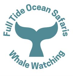 Full Tide Ocean Safaris, Stuart Town, NB opening hours