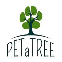 Petatree, Toronto, ON opening hours