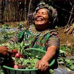 Project Harvest / Proyecto Cosecha, Fonthill, ON opening hours