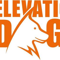 Elevation Dogs, Grande Prairie, AB opening hours