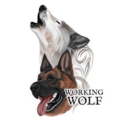 Working Wolf Dog Training, Kitchener, ON opening hours