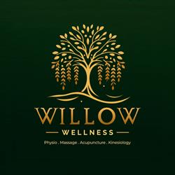 Willow-Wellness Physio & Massage Clinic, Langley, BC opening hours
