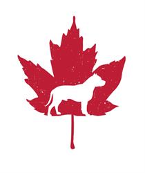 The Doghouse - A Canine Academy, Stony Plain, AB opening hours