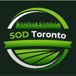 Sod Toronto, opening hours