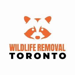Wildlife Removal Toronto, North York, ON opening hours