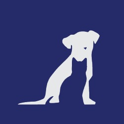 Beach Avenue Animal Hospital - Vancouver, opening hours