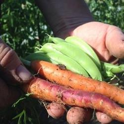 Linnaea Farm, Mansons Landing, BC opening hours