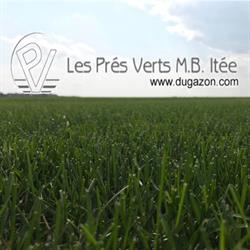 Pres Verts MB Ltee, Saint-Marcel-de-Richelieu, QC opening hours