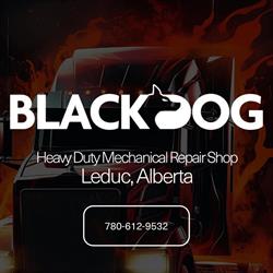 Black Dog Truck & Trailer Repair, Leduc, AB opening hours