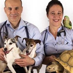 DEWINTON PET HOSPITAL Inc., Foothills County, AB opening hours