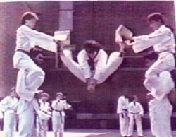 Alborz Taekwondo Academy, Toronto, ON opening hours