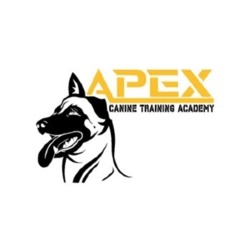 APEX Canine Training Academy, Woodstock, Brantford, ON opening hours