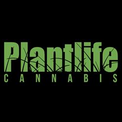 Plantlife Cannabis Weed Dispensary Winterburn, Edmonton, AB opening hours