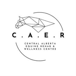 Central Alberta Equine Rehab & Wellness Centre, Carstairs, AB opening hours