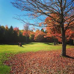 Sussex Golf & Curling Club, Picadilly, NB opening hours