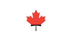 Canada Times Immigration Consultancy, Newmarket, ON opening hours