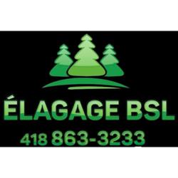 Élagage Bas St-Laurent, Sainte-Hélène-de-Kamouraska, QC opening hours