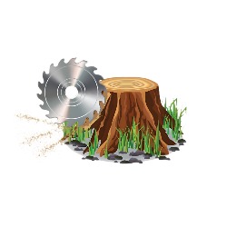 SpinBlade Tree Services, Nepean, ON opening hours