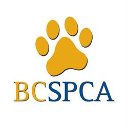 BC SPCA, West Vancouver, BC opening hours