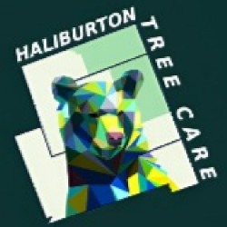 Haliburton Tree Care, opening hours