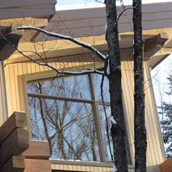 Habitations Arbor INC., Rivière-à-Pierre, QC opening hours