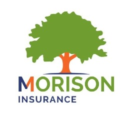 Morison Insurance Delhi, opening hours