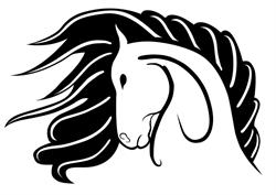 Horse'n Around, Red Deer, AB opening hours