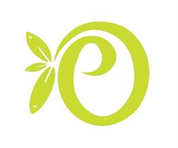 Olive Physiotherapy & Sports Injury Clinic, Langley, BC opening hours
