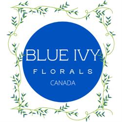 Blue Ivy Floral Brampton Ontario, opening hours
