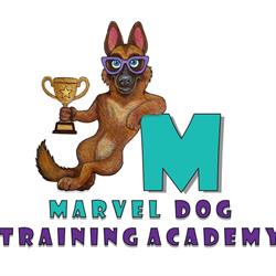 Marvel Dog Training Academy, Calgary, AB opening hours