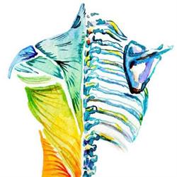 Queen City Chiropractic Clinic Dr. Derek Fay & Dr. Garth LaPlante, Regina, SK opening hours