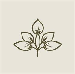 Pure Spa, Lethbridge, AB opening hours