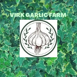 Virk Garlic Farm, Georgetown, ON opening hours