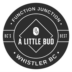 A Little Bud Whistler - Same Day Weed Delivery, opening hours