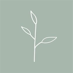 Therapy Collective, Calgary, AB opening hours
