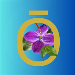 Aromates essences, Saint-Jean-sur-Richelieu, QC opening hours