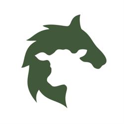 Central Ontario Veterinary Services, Barrie, ON opening hours