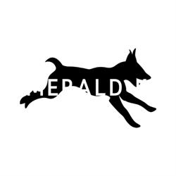 Emerald K9, Cambridge, ON opening hours
