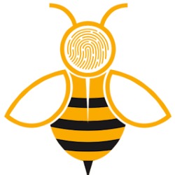 Beeclue Tech, Scarborough, ON opening hours