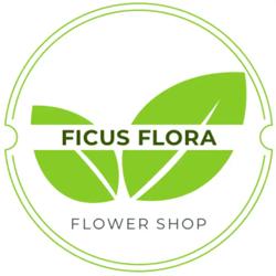Ficus Flora Flower Shop, North York, ON opening hours