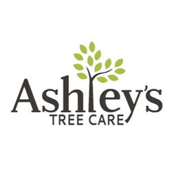 Ashleys Tree Care, Etobicoke, ON opening hours