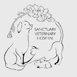 Sanctuary Veterinary Hospital, Calgary, AB opening hours