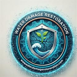 M6S Damage Restoration, Toronto, ON opening hours